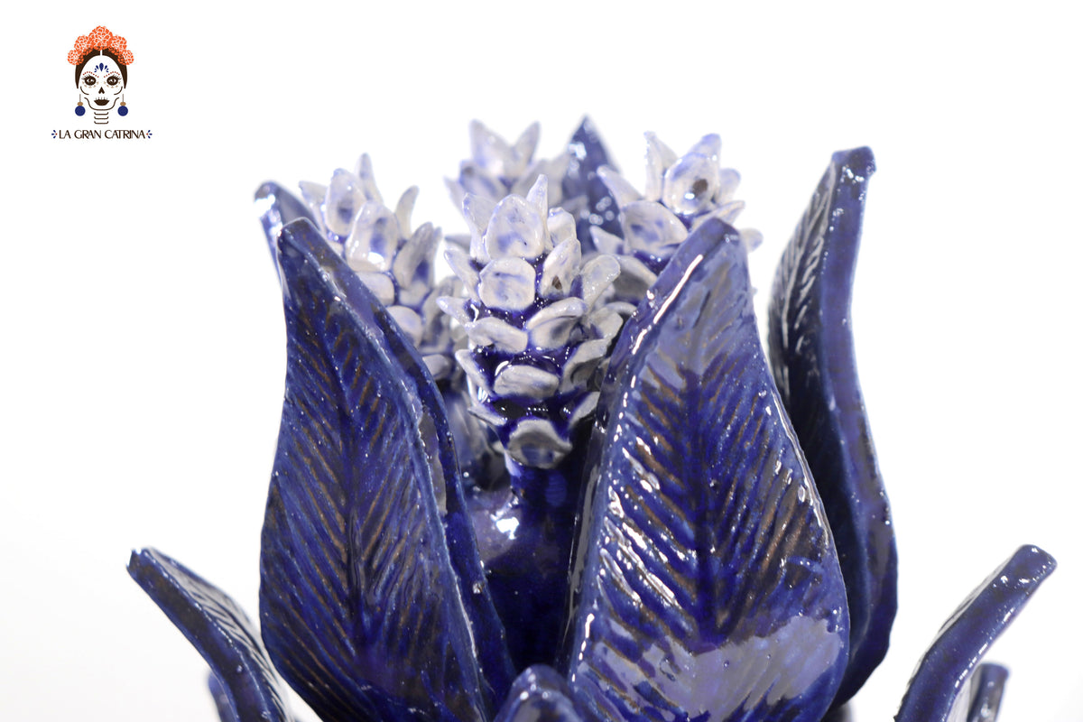 Piña azul de hojas de tapa curveada - 50 cm. 20 in. - Sobre Pedido Sobre pedido