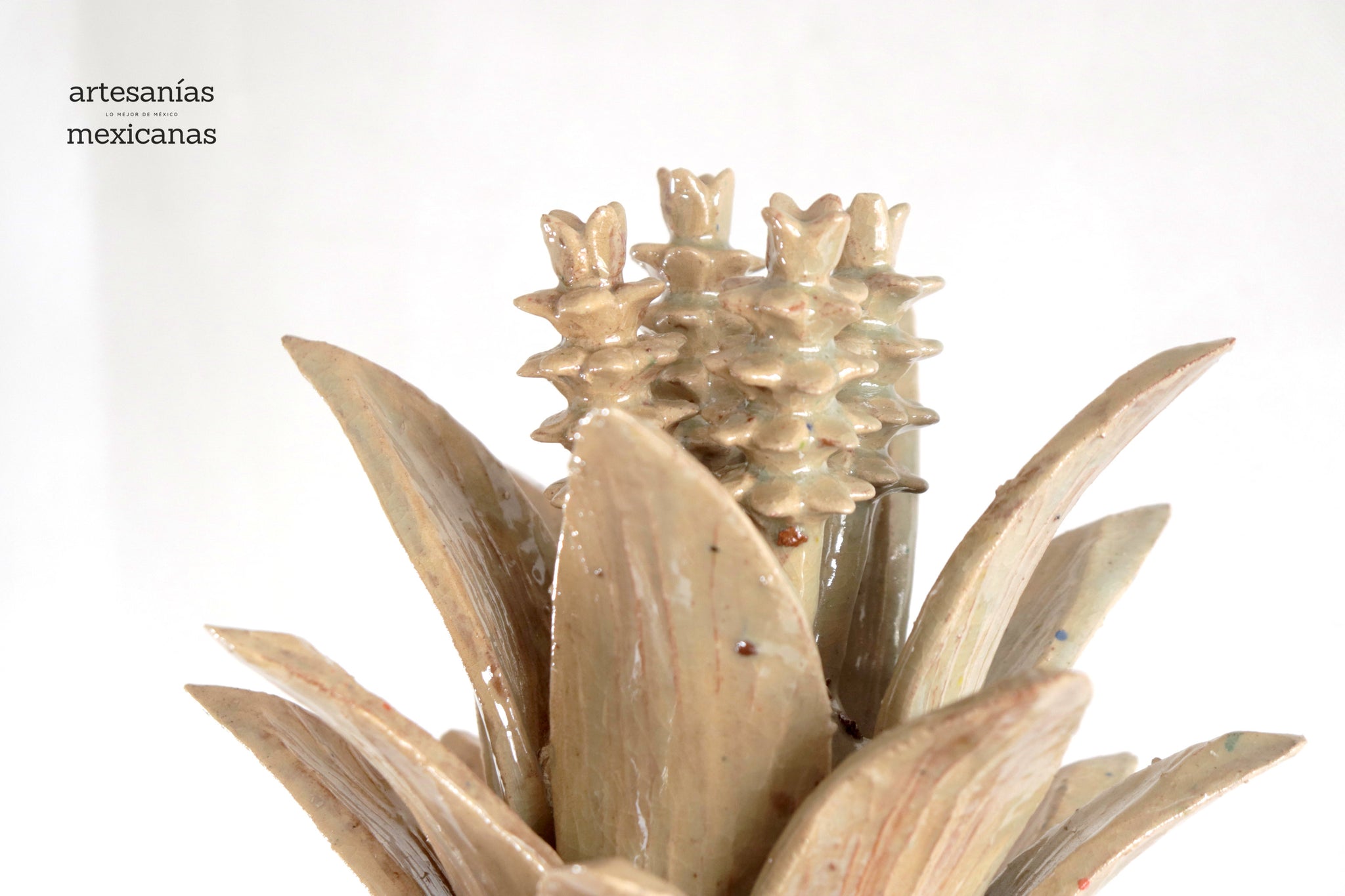 Piña de biznaga color beige - 70 cm. 28 in. - Sobre Pedido - Artesanías ...