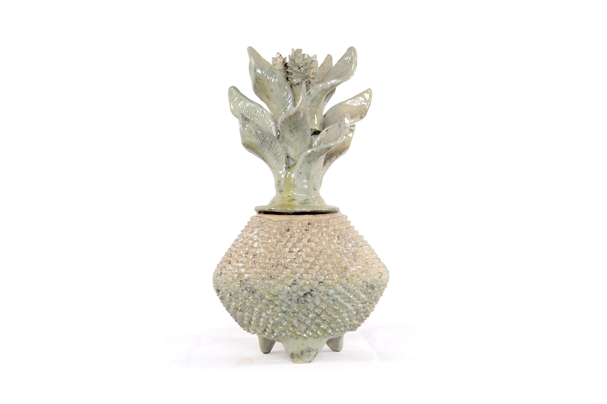 Piña de platillo de picos beige de tapa ondulada - 41 cm. 16 in.