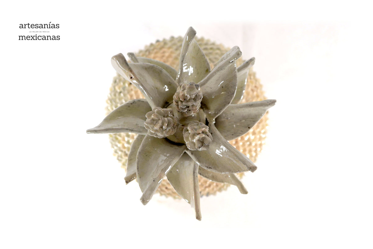 Piña de platillo de picos beige de tapa ondulada - 41 cm. 16 in.
