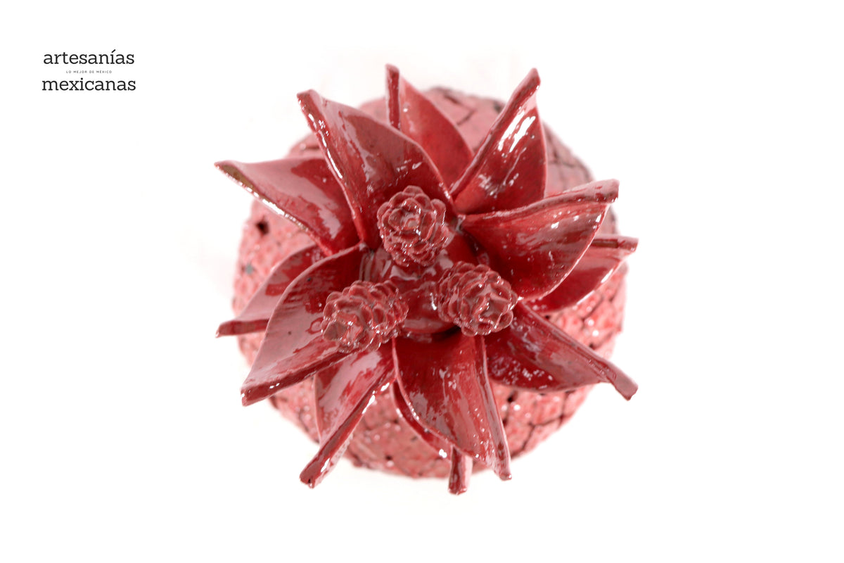 Piña roja de tapa ondulada - 41 cm. 16 in.