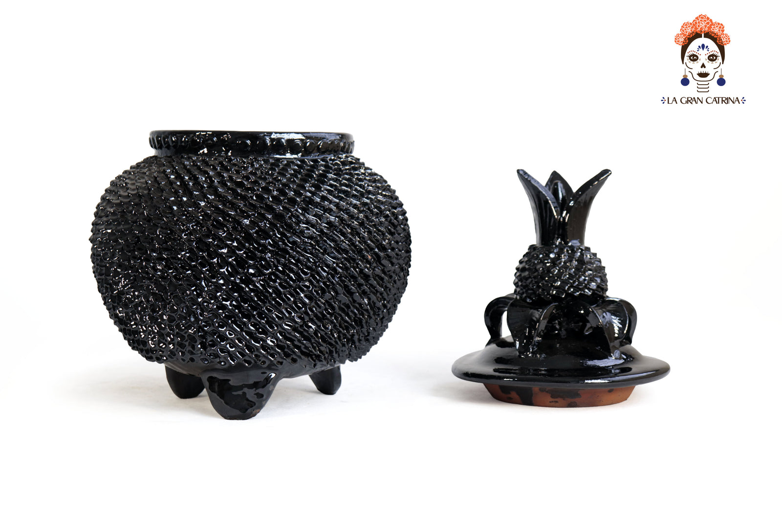 Comanja Negra con Picos - 40 cm. 16 in. Piña