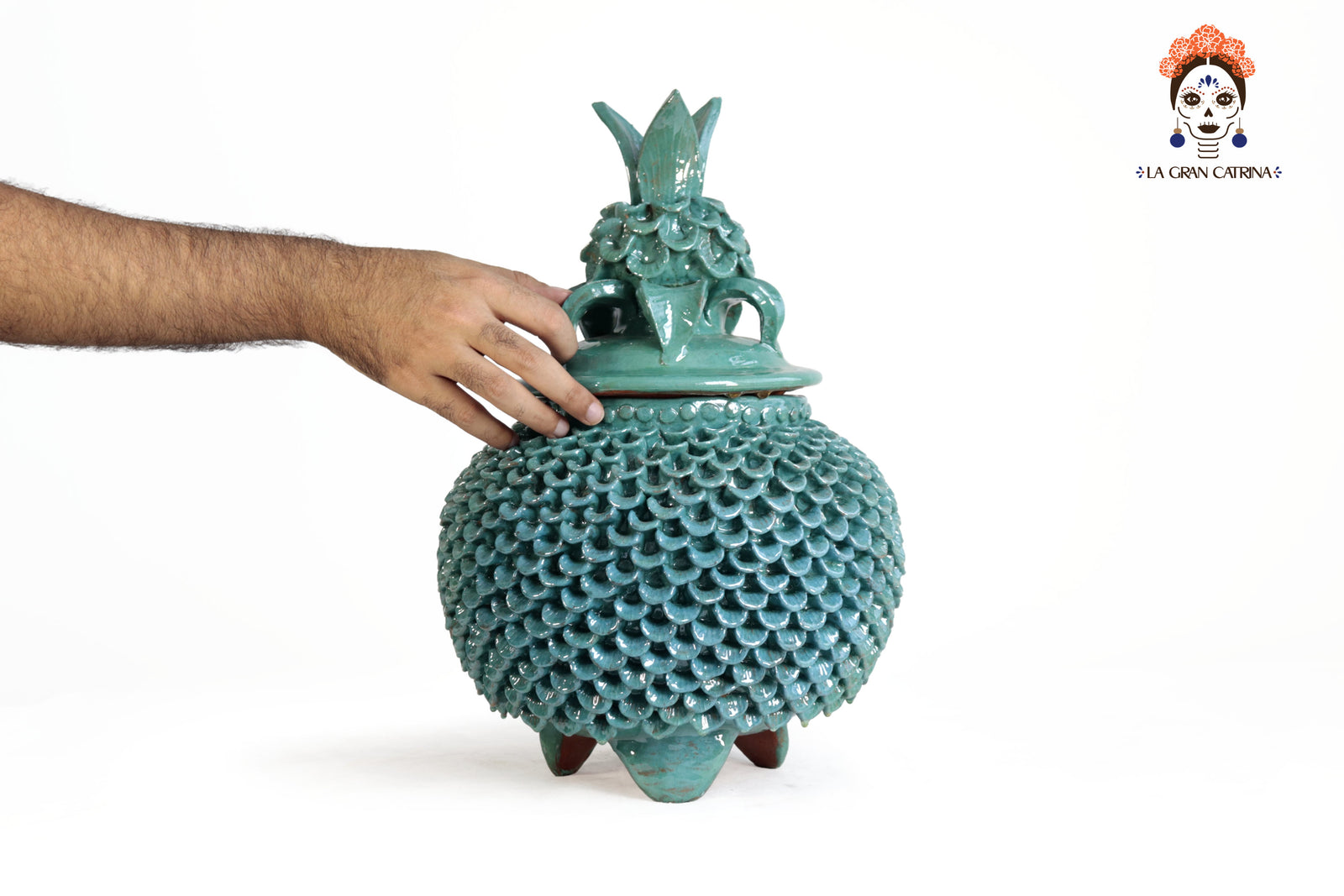Comanja Turquesa con Pétalos - 40 cm. 16 in. Piña