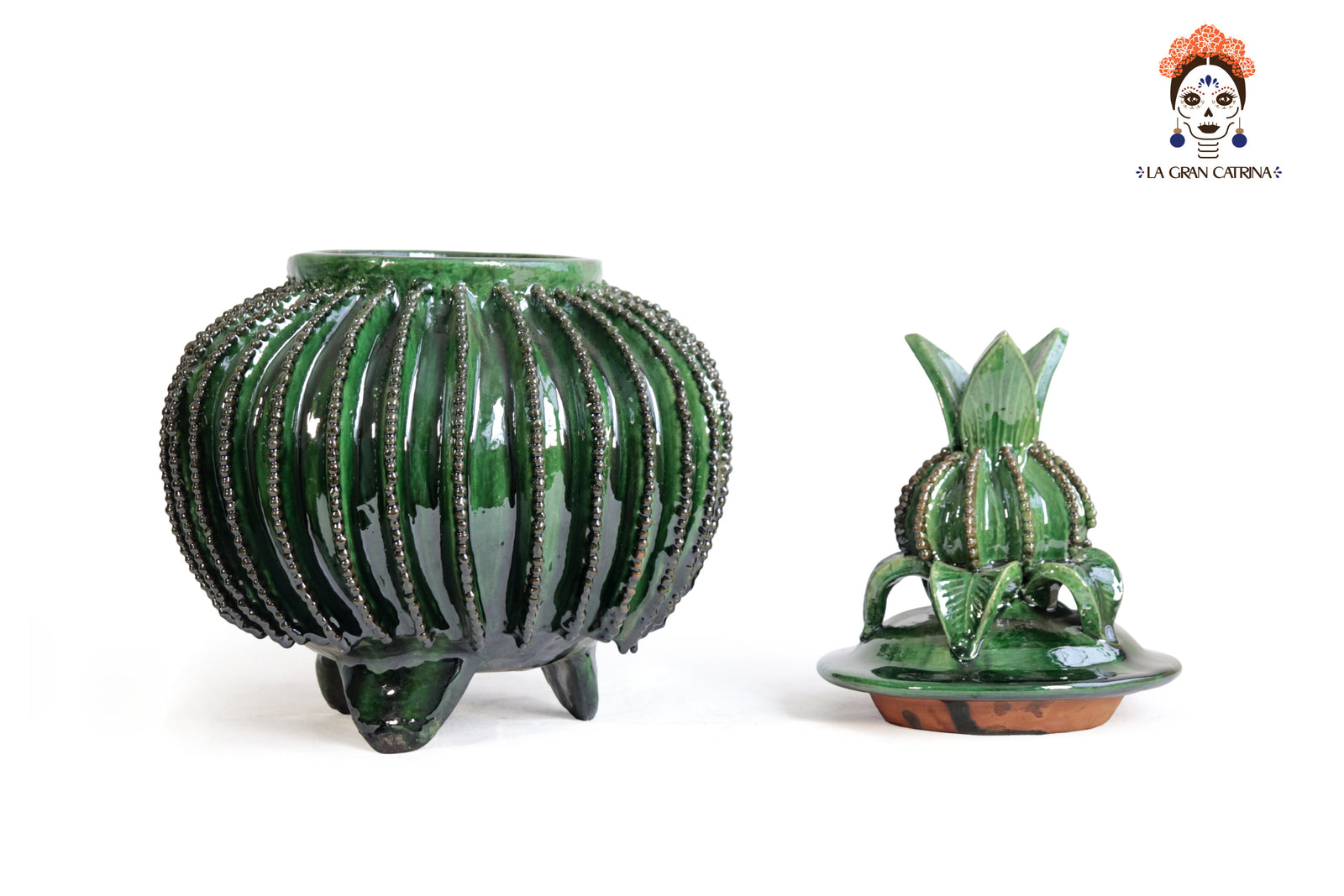 Comanja Verde Biznaga - 40 cm. 16 in. Piña