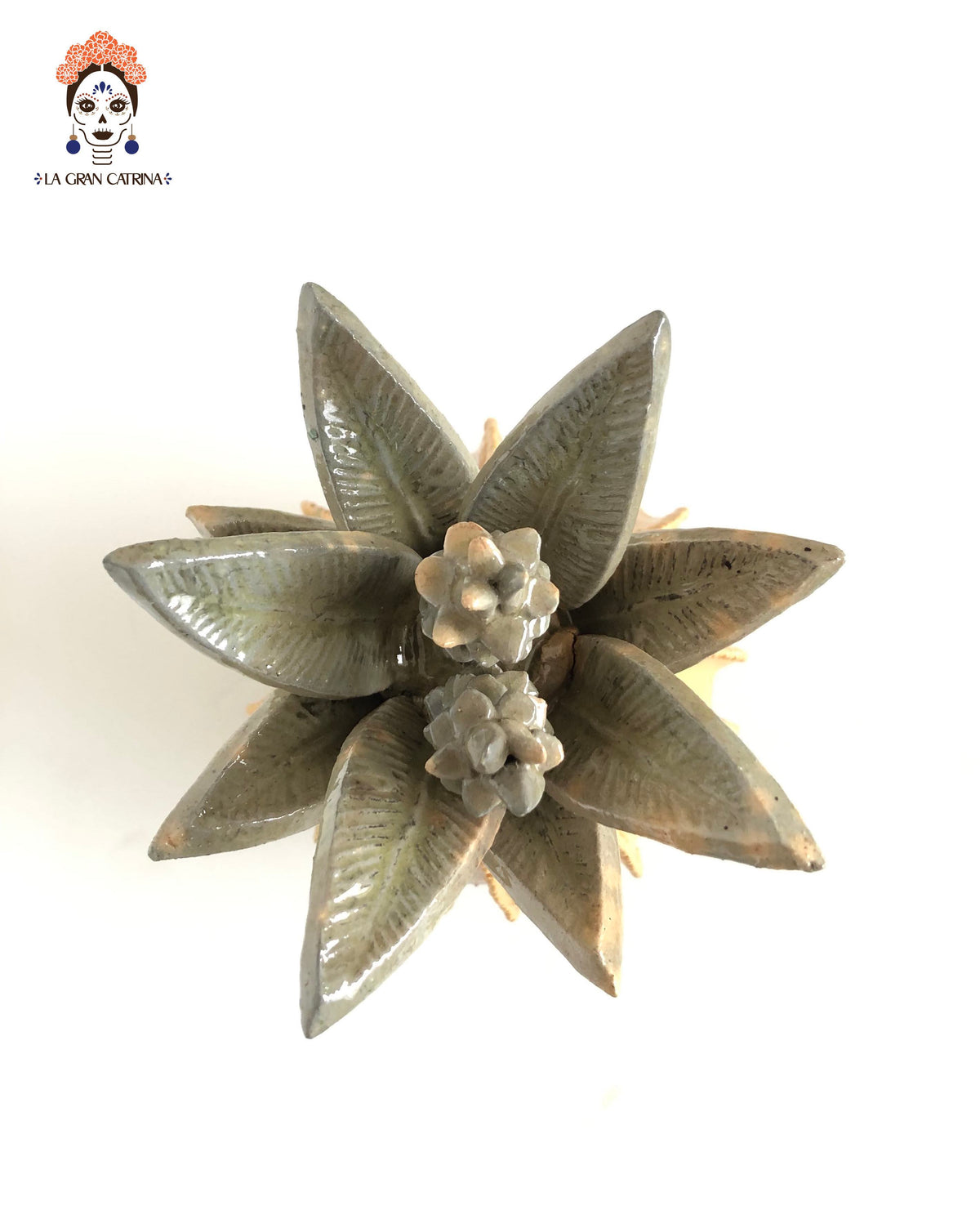 Piña michoacana - Biznaga amarilla - 38 cm. 15 in.