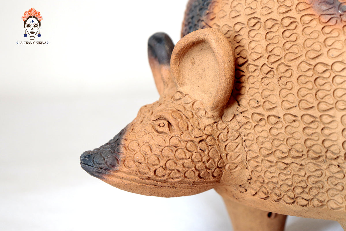 Armadillo de Barro Natural - 63 Cm. 24.8 In. Zipiajo